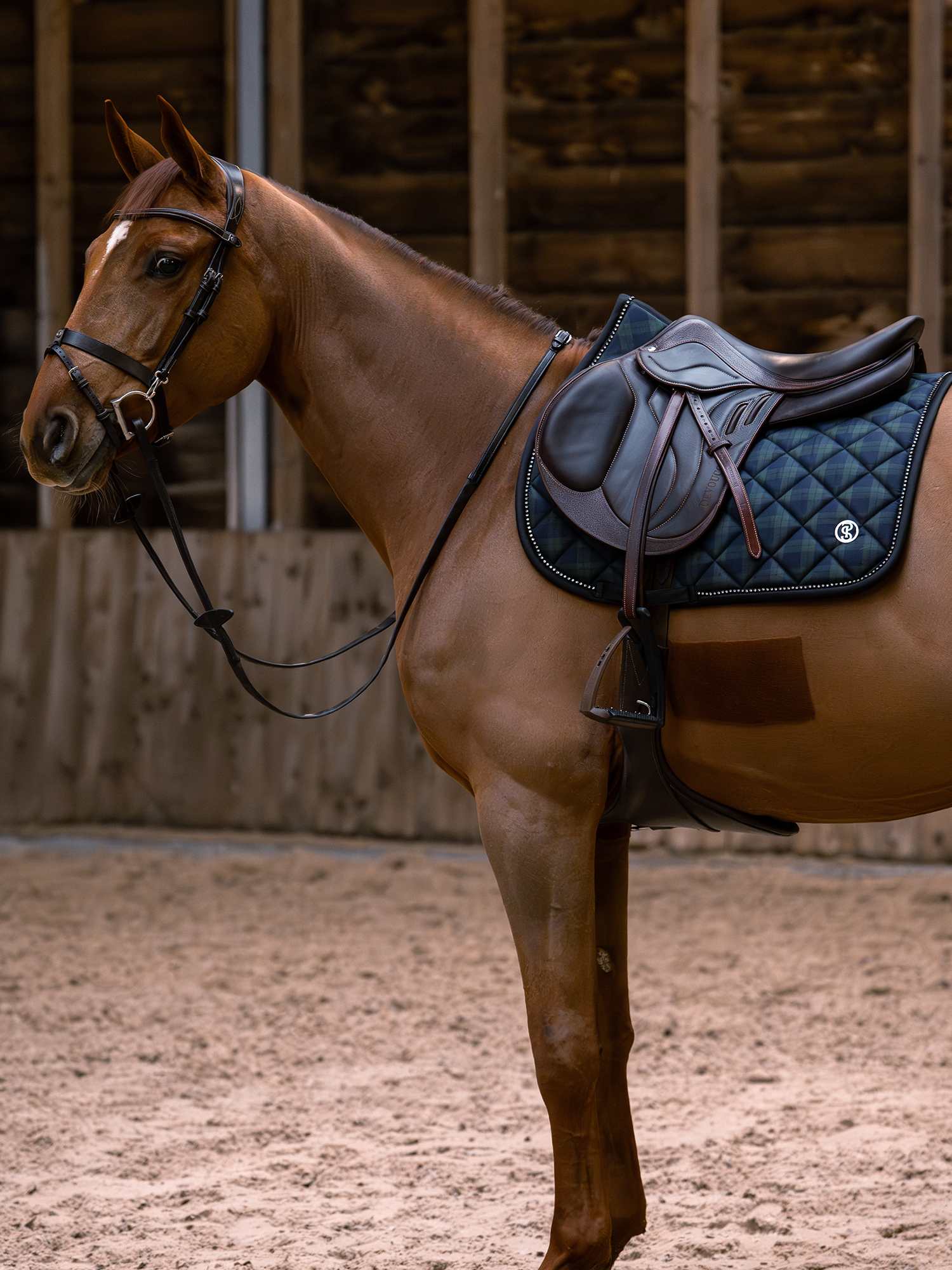 Tartan Checked Saddle Pad Jump