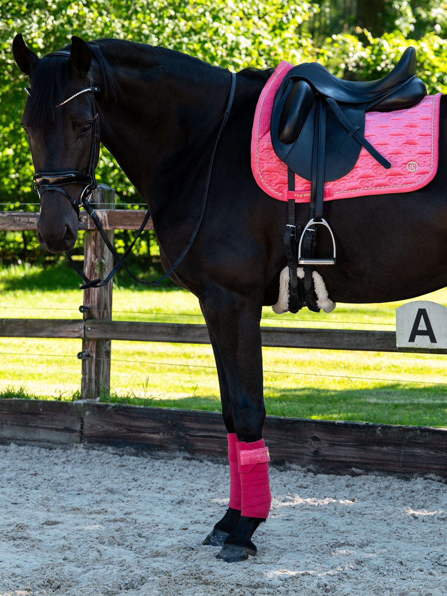Polos Velvet Monogram