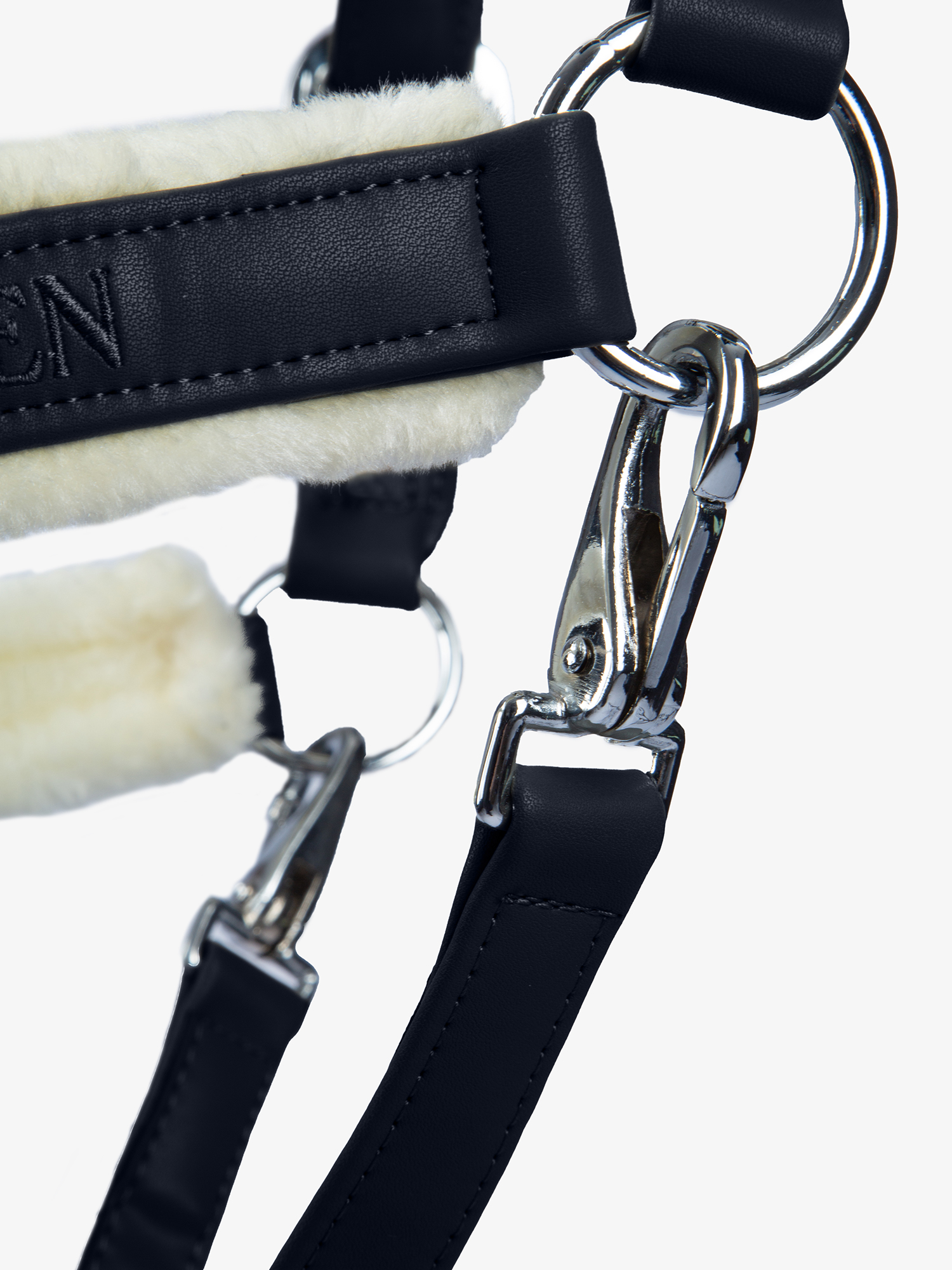 Teddy Halter
