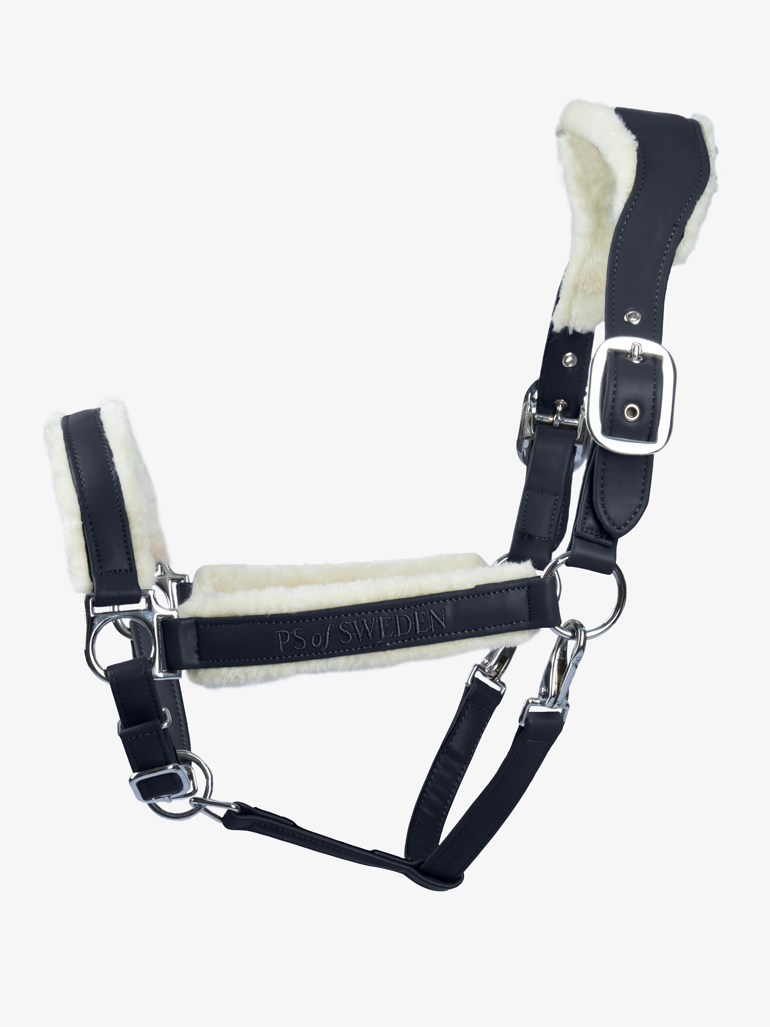 Teddy Halter