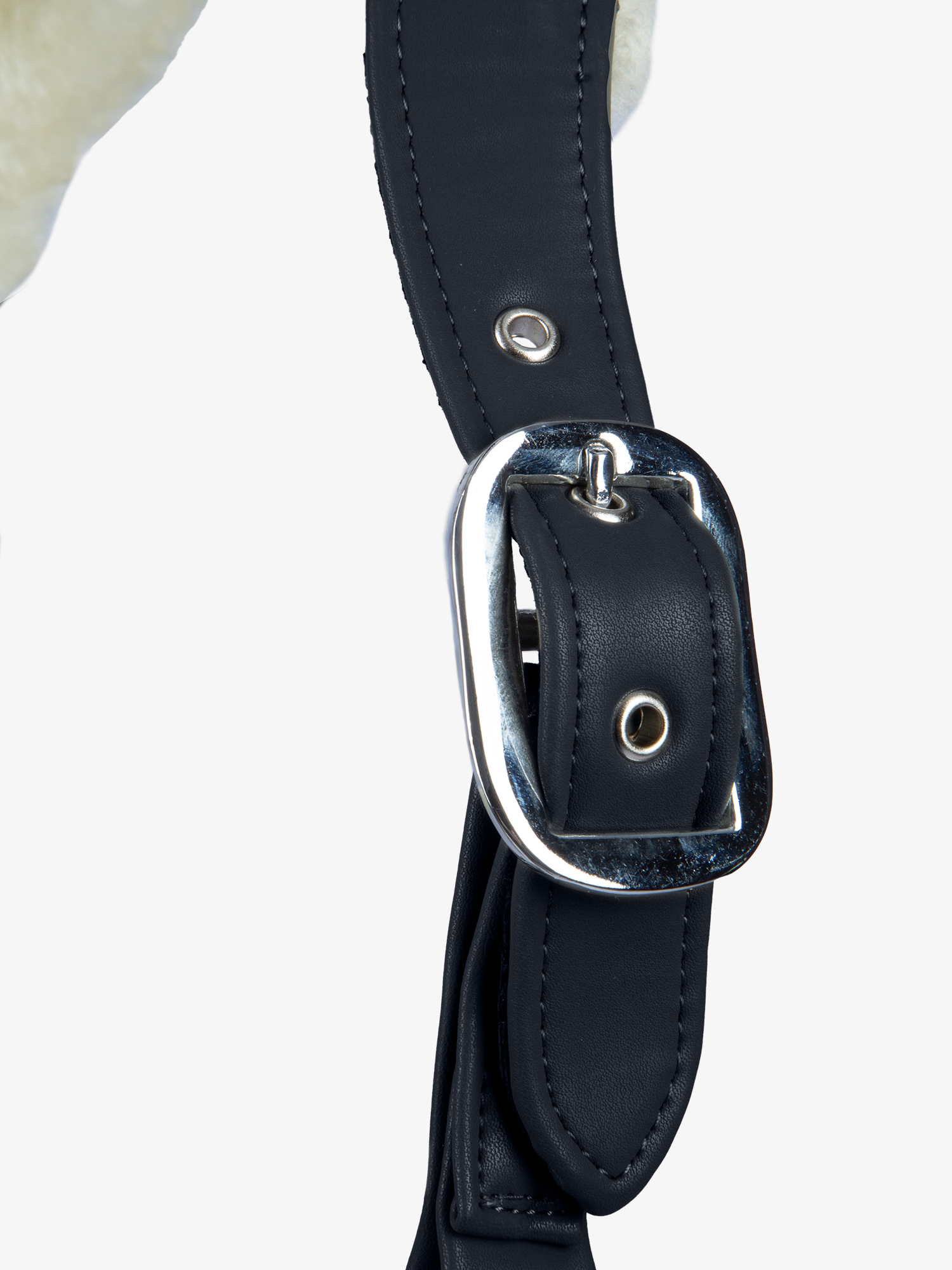 Teddy Halter