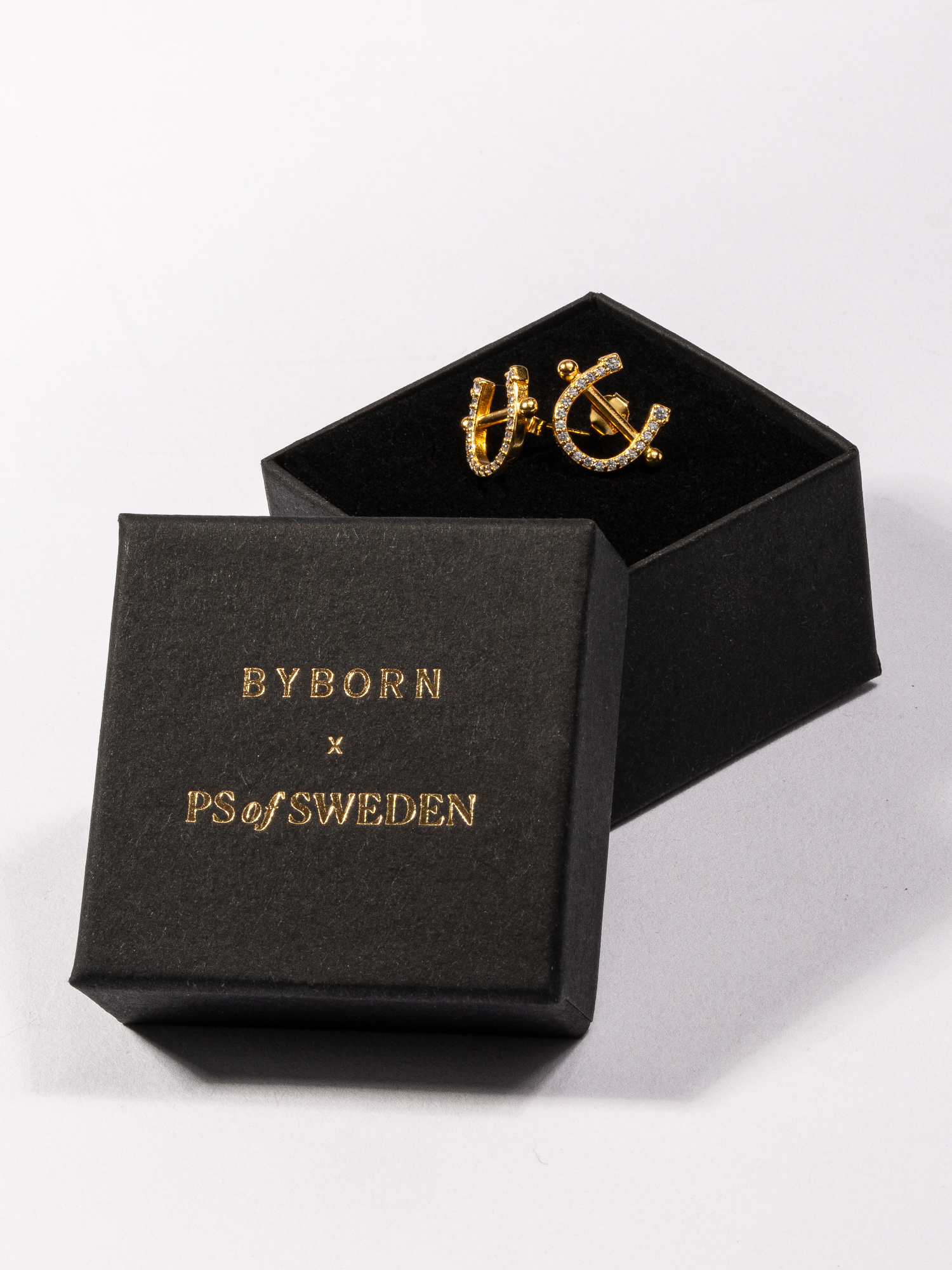 Pierced Horse Shoe Earrings