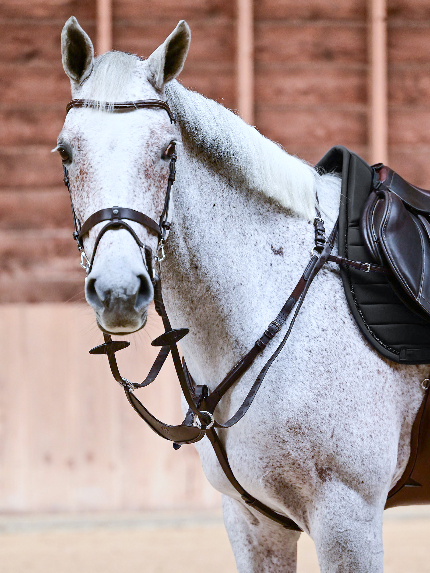 Mexico Breastplate
