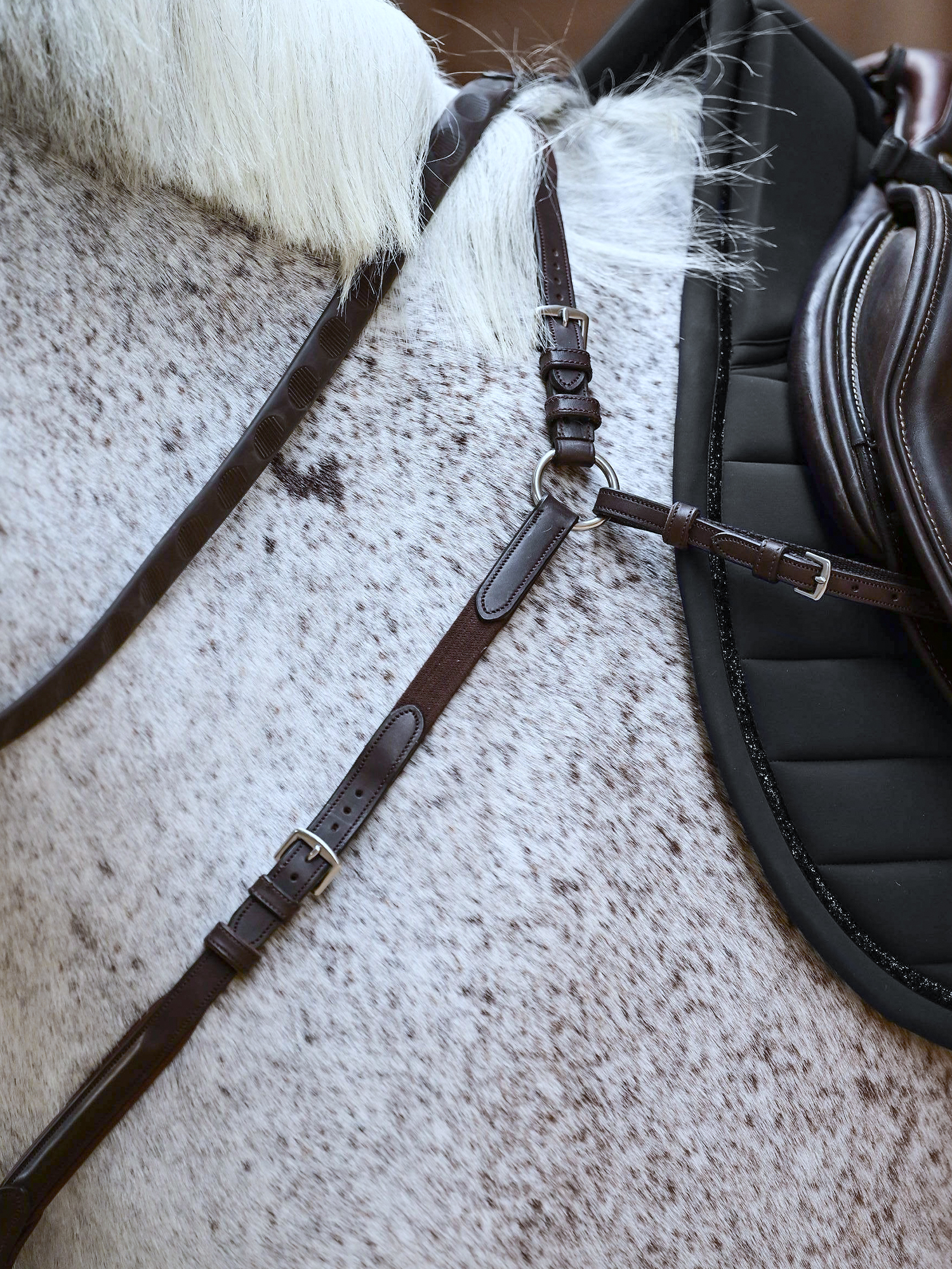 Mexico Breastplate