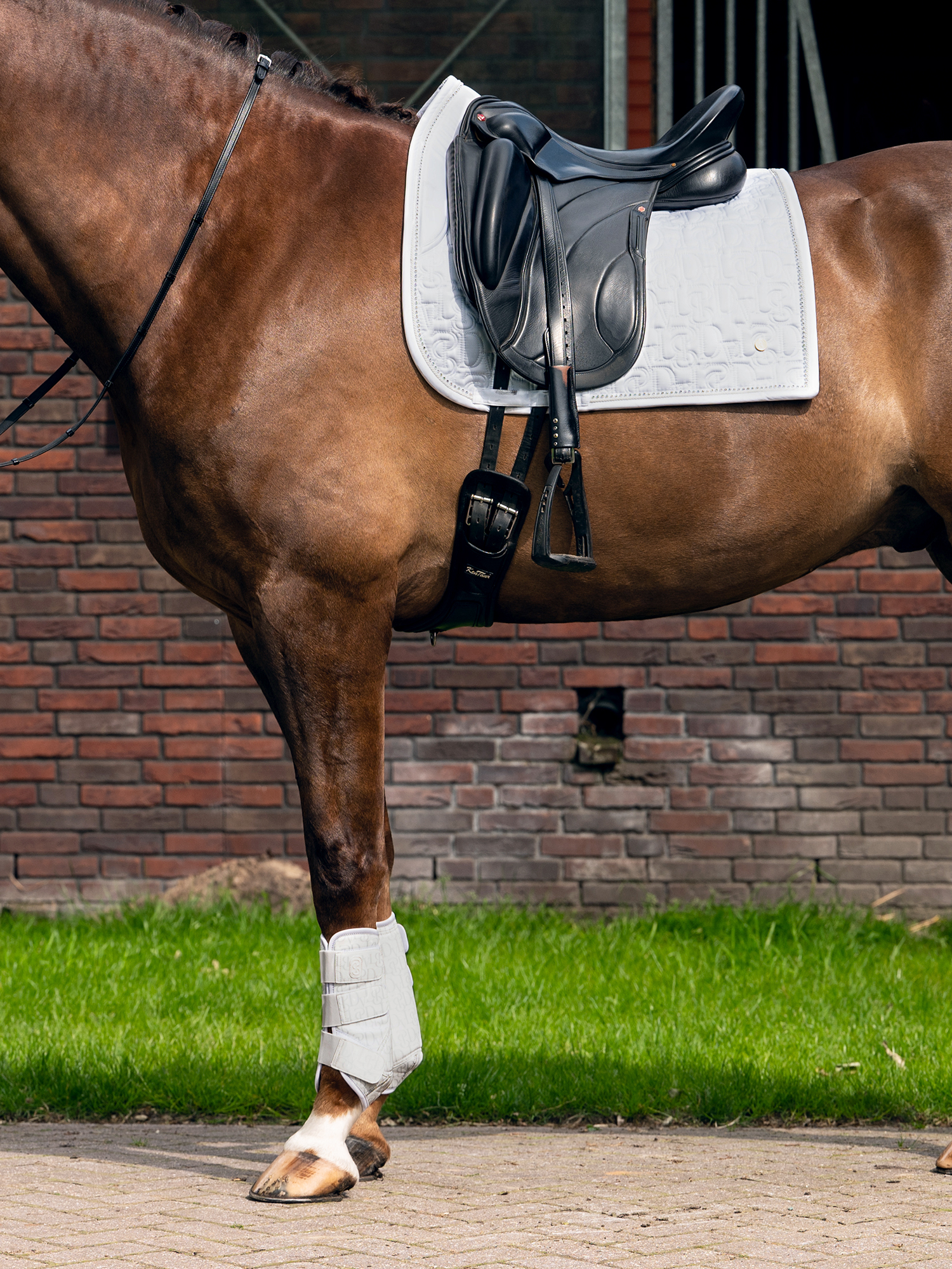 Dinja x PS Dressage Saddle Pad