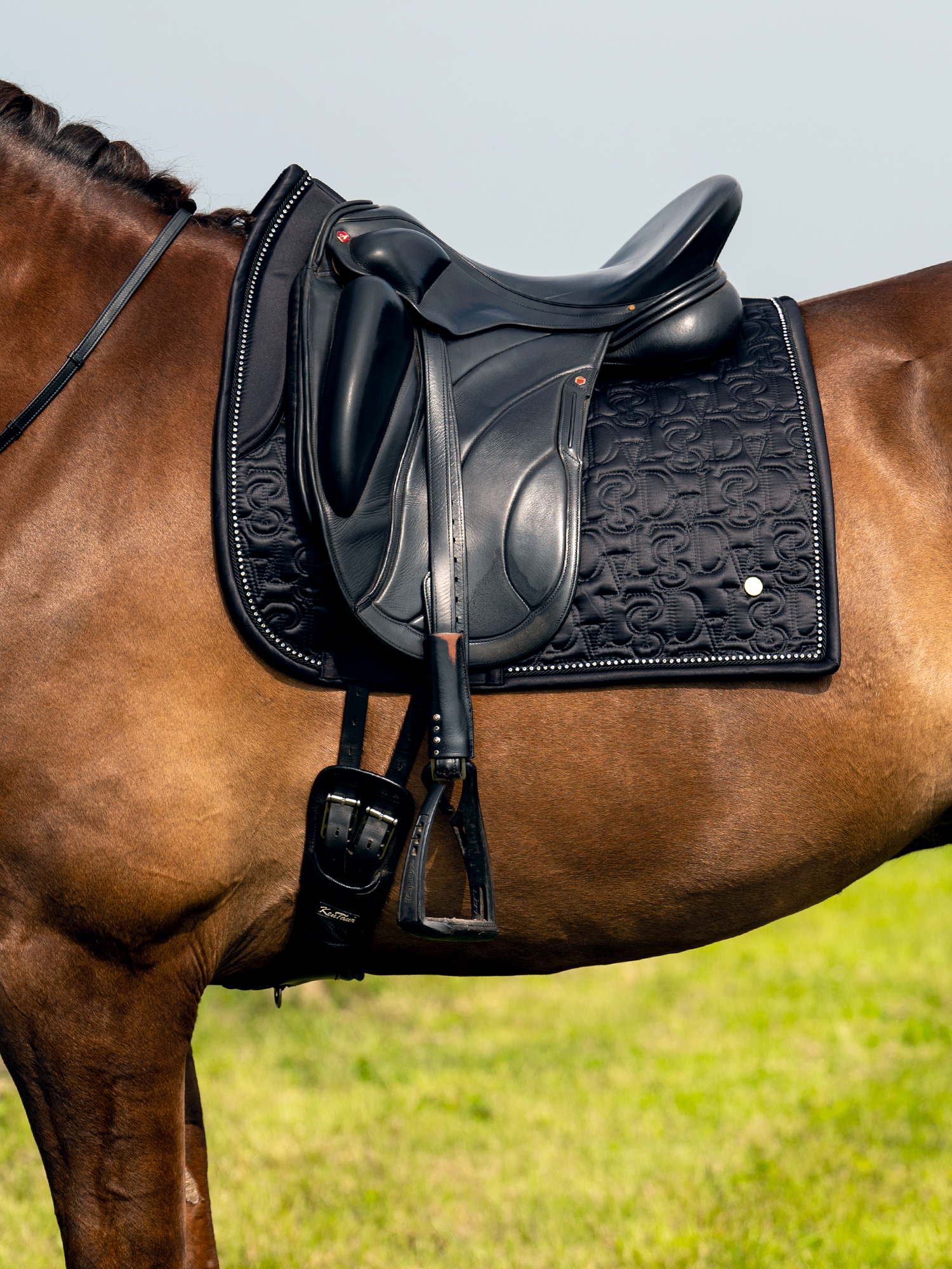 Dinja x PS Dressage Saddle Pad
