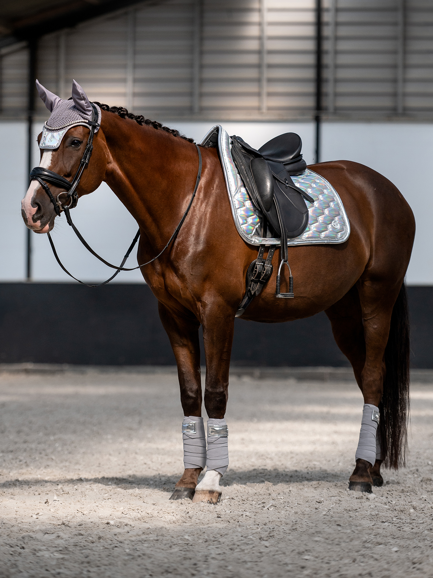 Dazzling Metallic Saddle Pad Dressage