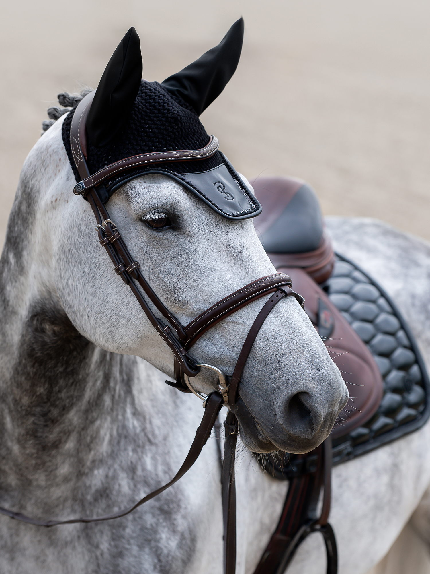Dazzling Holiday Ear Bonnet