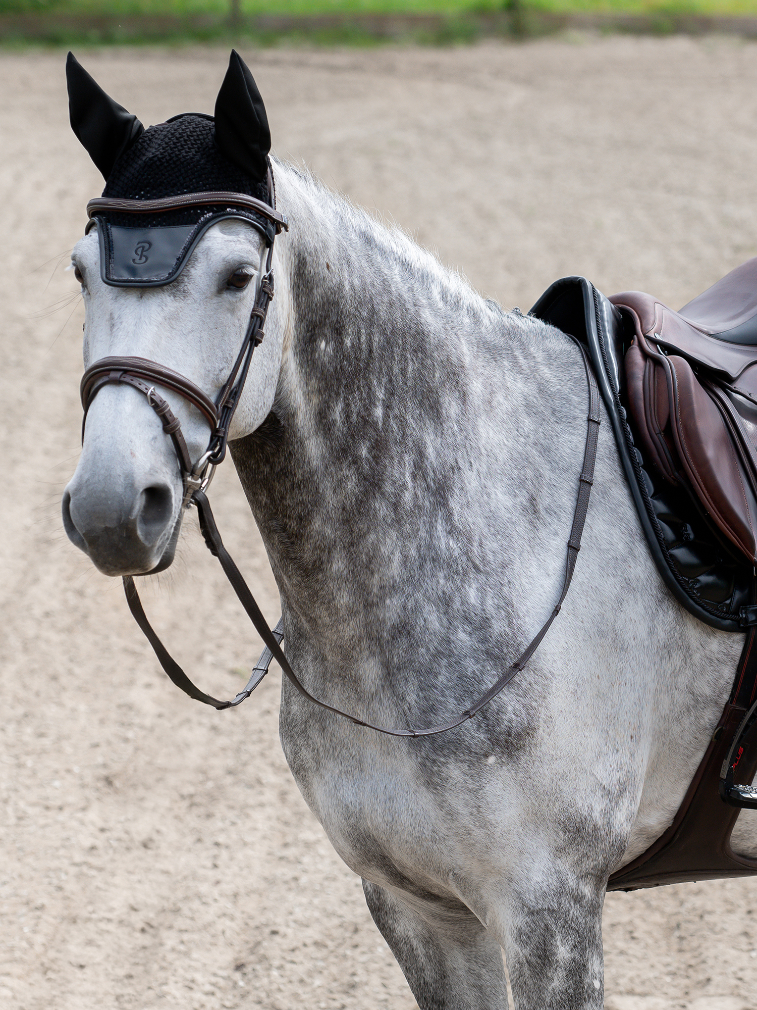 Dazzling Metallic Saddle Pad Jump