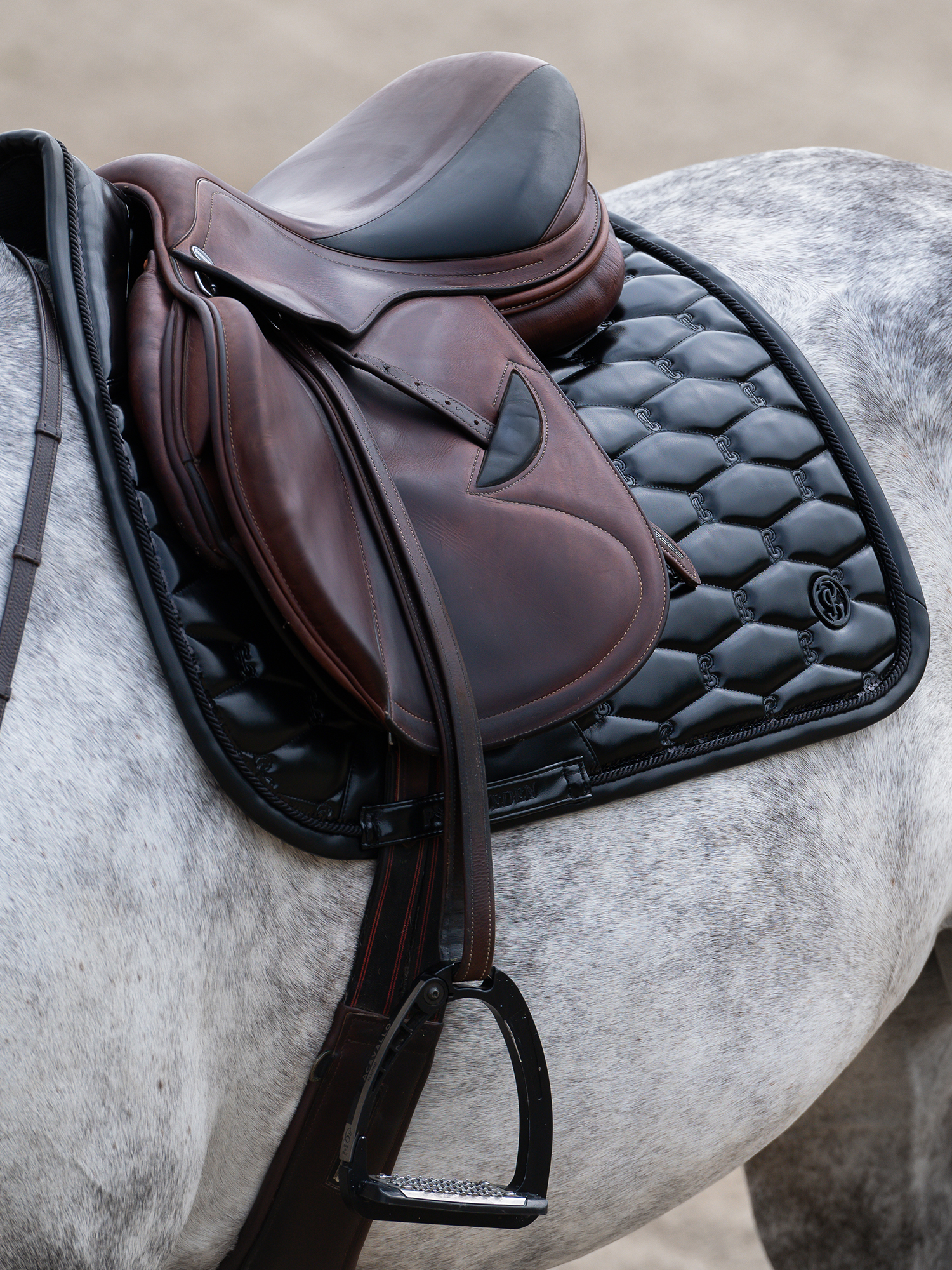 Dazzling Metallic Saddle Pad Jump