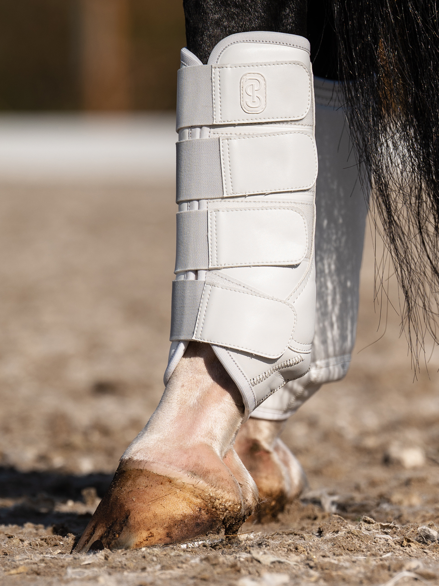 Premium Training Hind Boots 2-pack