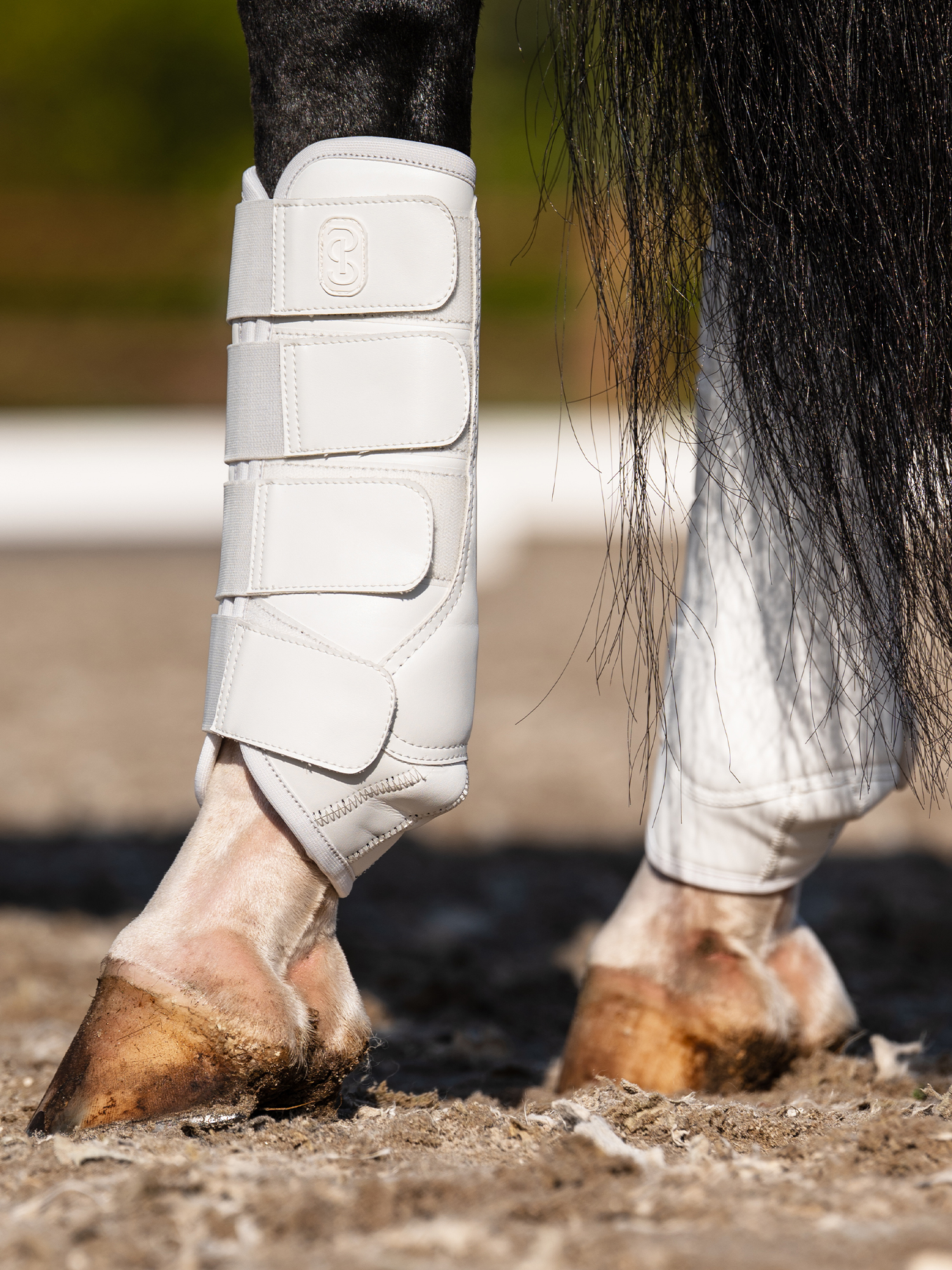 Premium Training Hind Boots 2-pack