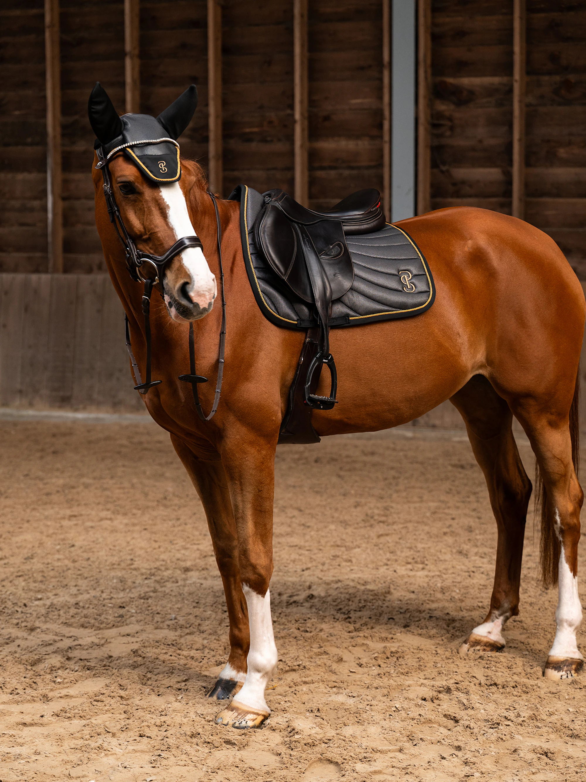 Airflow Mesh Jump Saddle Pad Airflow Mesh Jump Saddle Pad