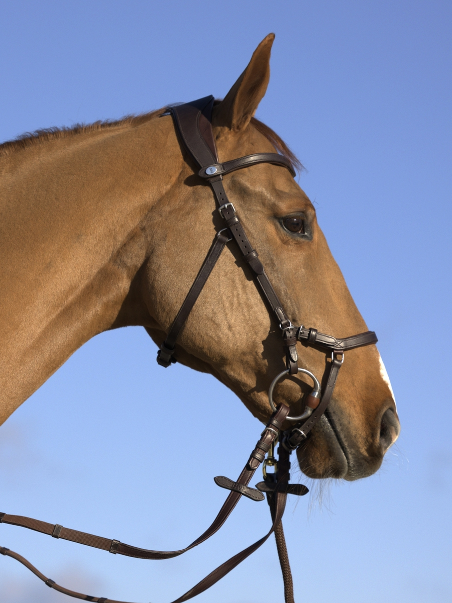 King Edward Bridle +Reins Santa Fe