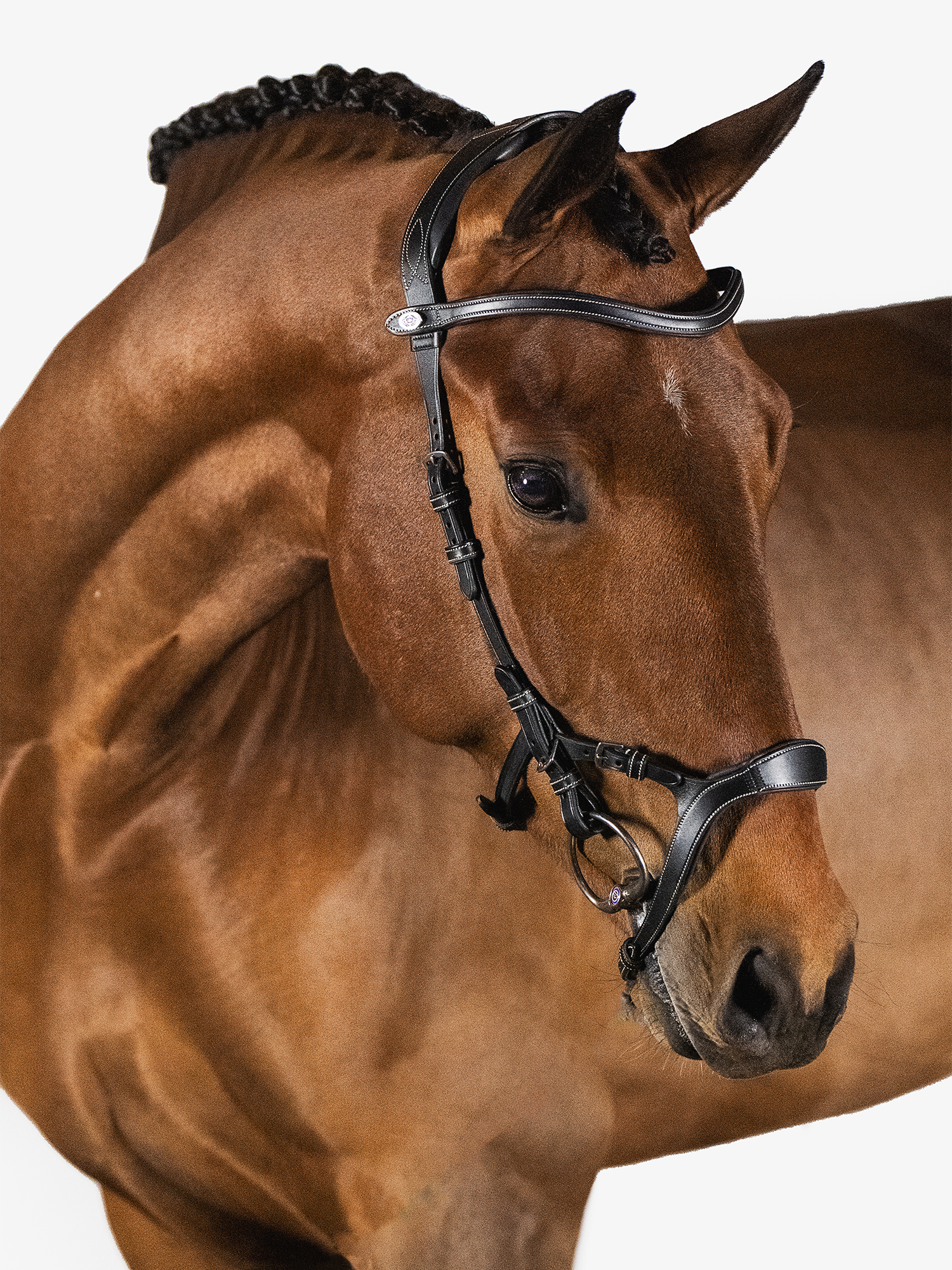 Nirak Bridle + Reins Softy / Supergrip