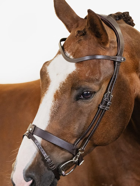 London Bridle + Seoul Martingale