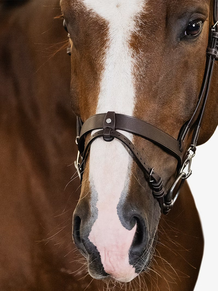 London Bridle + Seoul Martingale