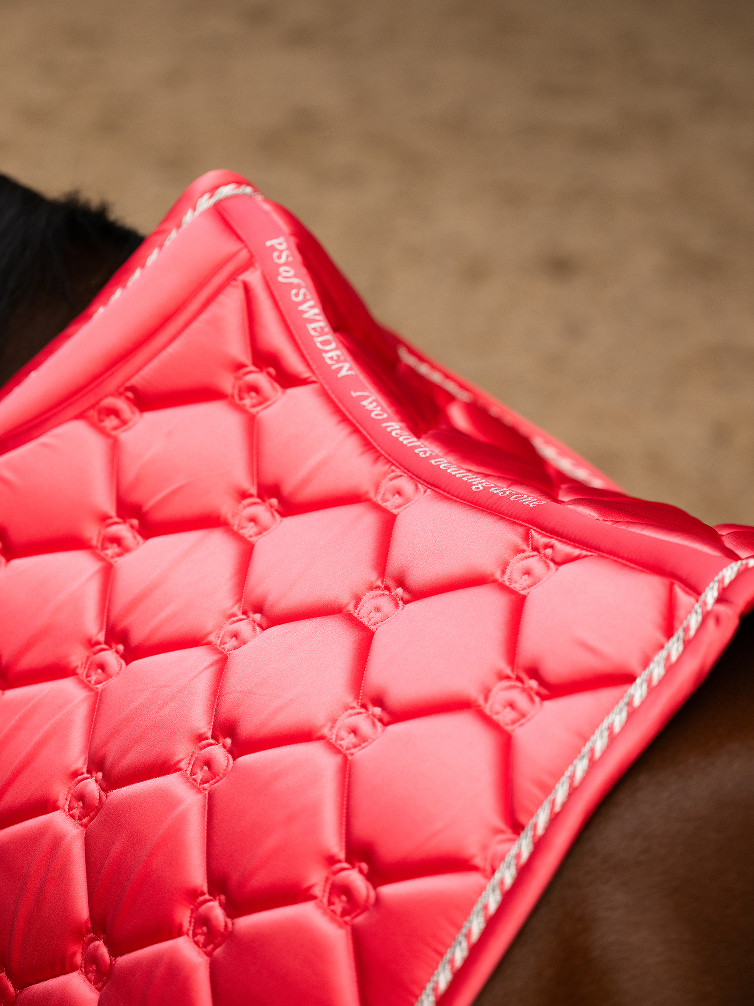 The Original Monogram Jump Saddle Pad