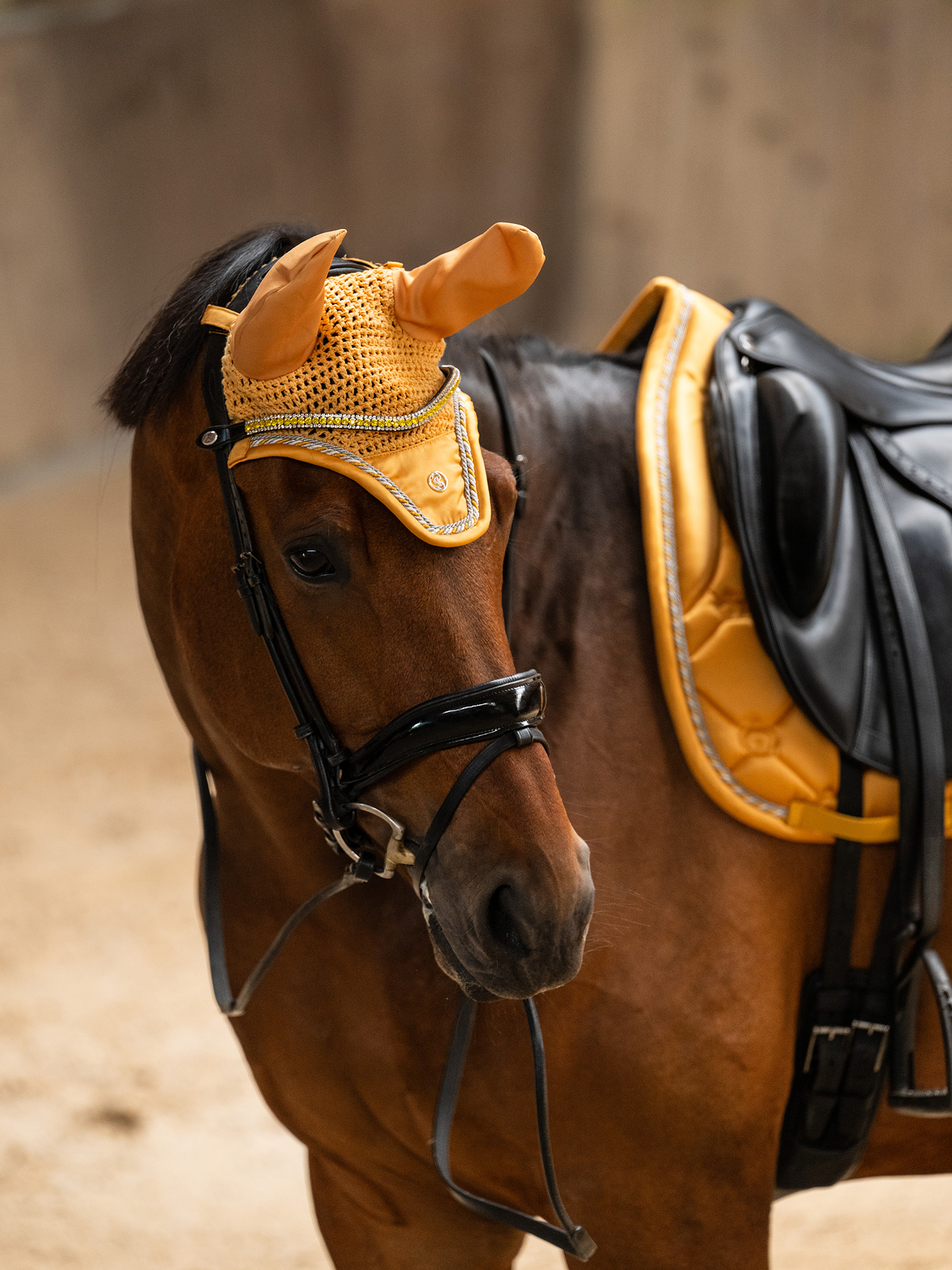 Browband The Original Delight Sunburst Brown Leather