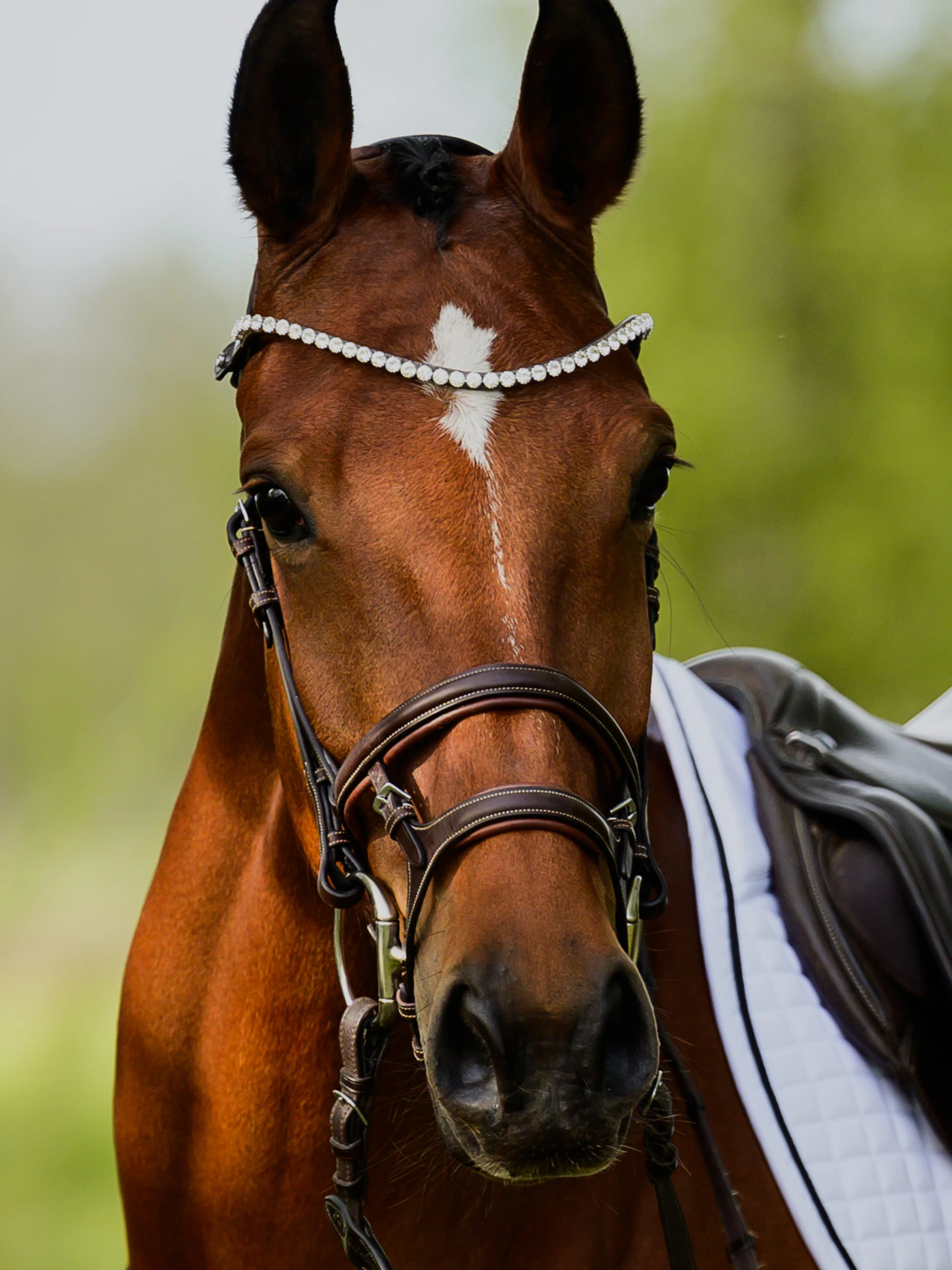Browband Slim Crystal Browband Slim Crystal