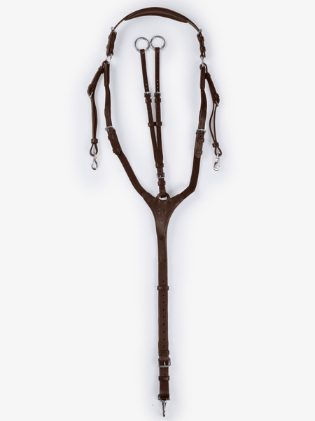 King Edward Bridle + Beijing Breastplate