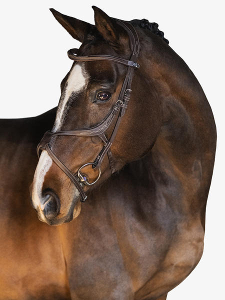 Athens Bridle + Melbourne Breastplate