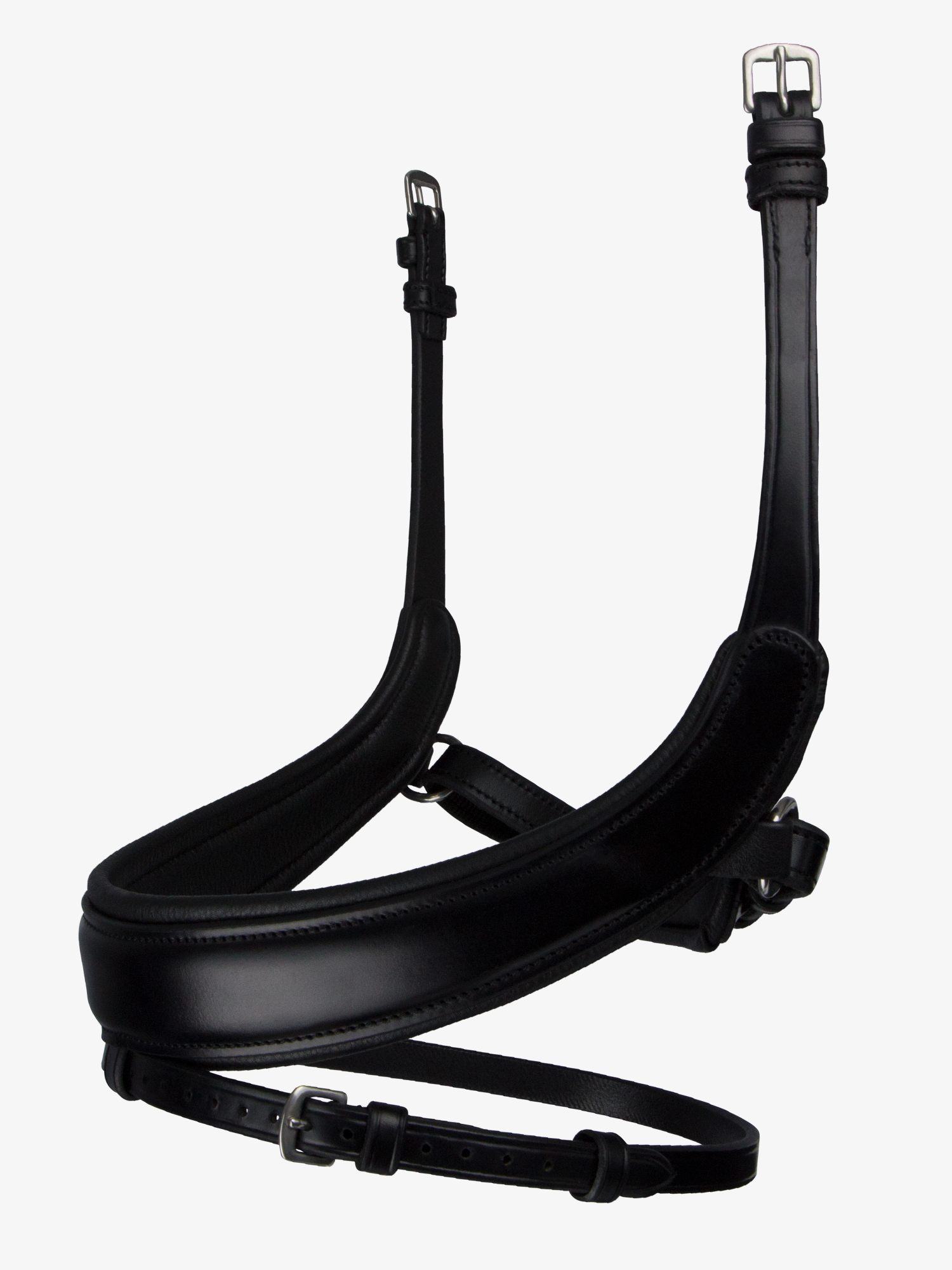 Noseband Paladin