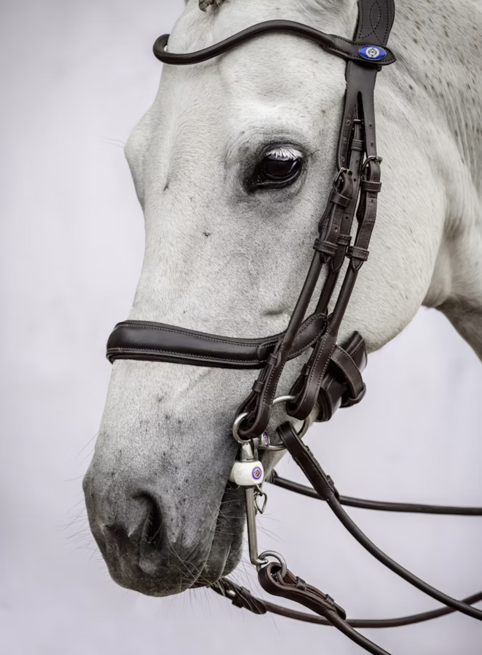 Noseband Paragon