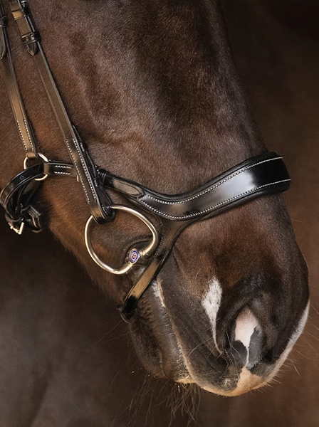 Pioneer • Anatomical Bridle • PS of Sweden