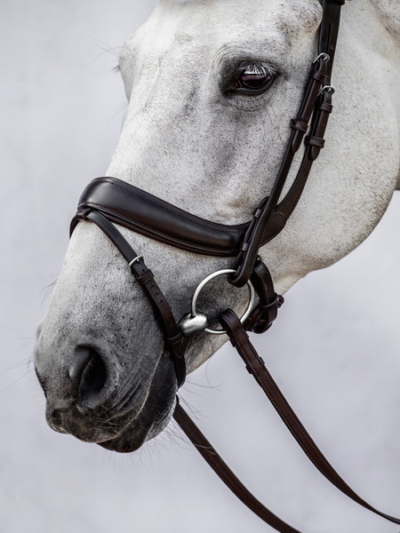 Paladin Bridle + Dubai Flat Dressage Reins