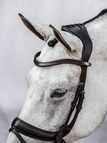 Paladin Bridle + Dubai Flat Dressage Reins