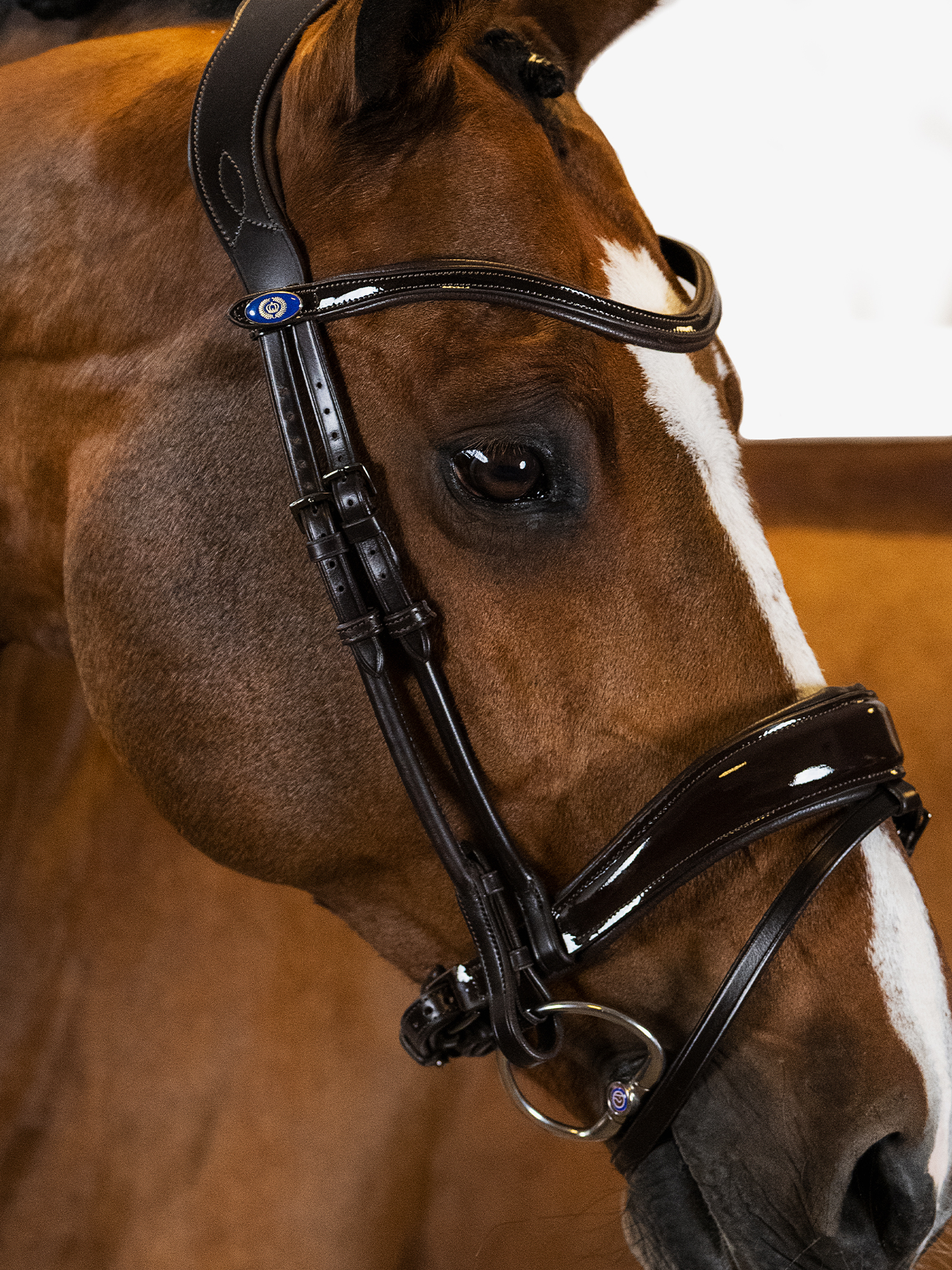 Flying Change Deluxe Bridle