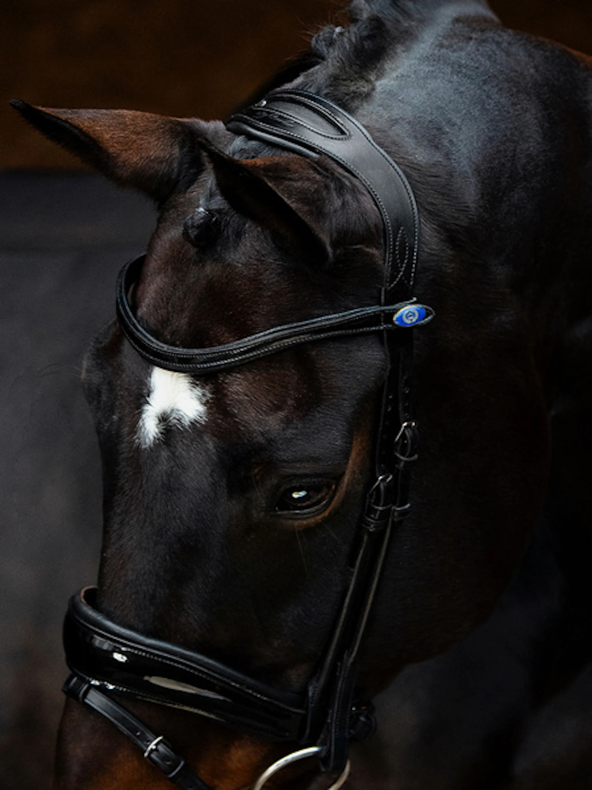 Flying Change Deluxe Bridle + Dubai Flat Dressage Reins Flying Change Deluxe Bridle + Dubai Flat Dressage Reins