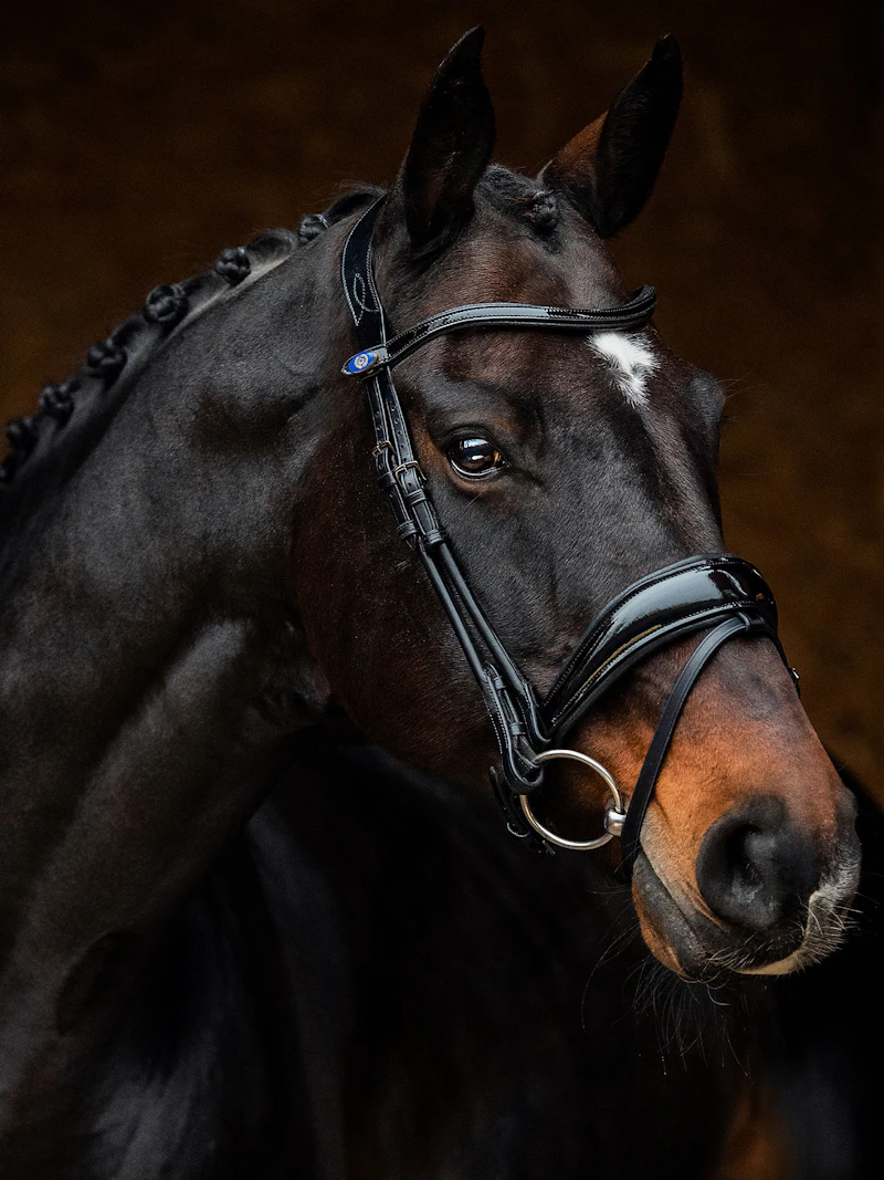 Flying Change Deluxe Bridle + Dubai Flat Dressage Reins Flying Change Deluxe Bridle + Dubai Flat Dressage Reins