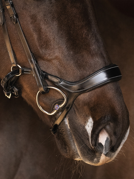 Pioneer Bridle