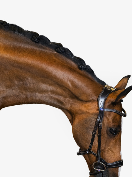 Pioneer • Anatomical Bridle • PS of Sweden