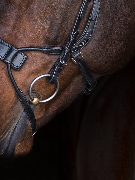 High Jump Bridle + Reins Santa Fe