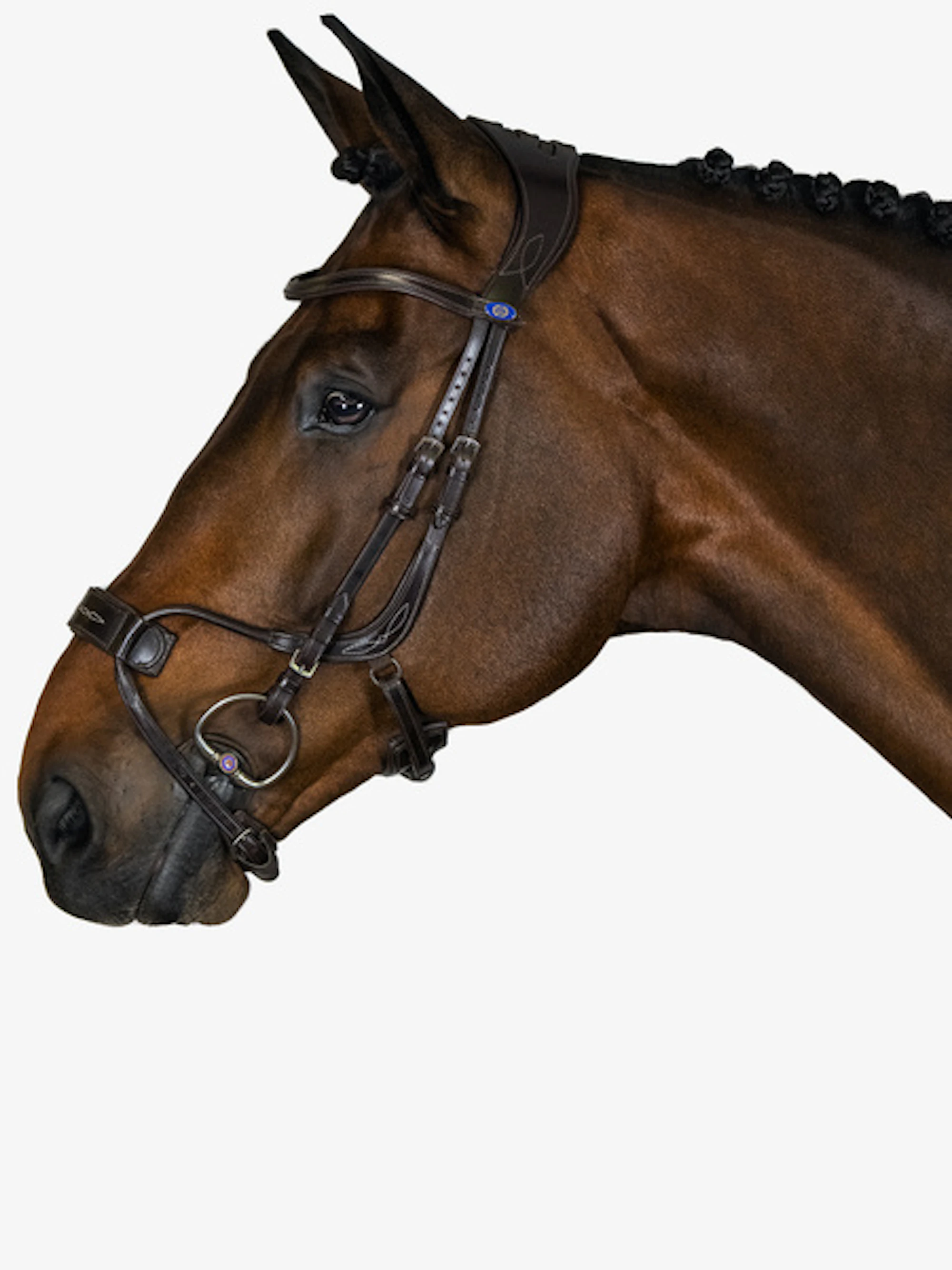 High Jump Bridle High Jump Bridle