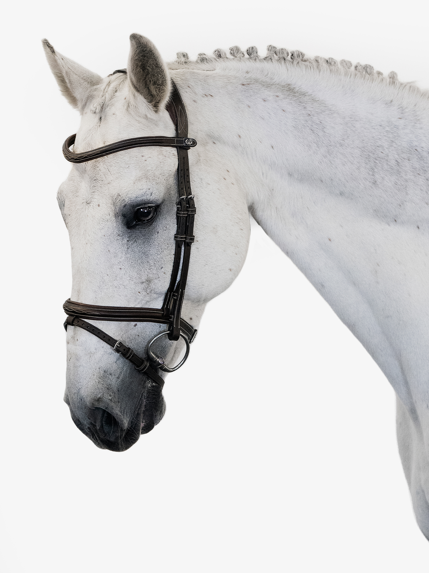 Stockholm Bridle