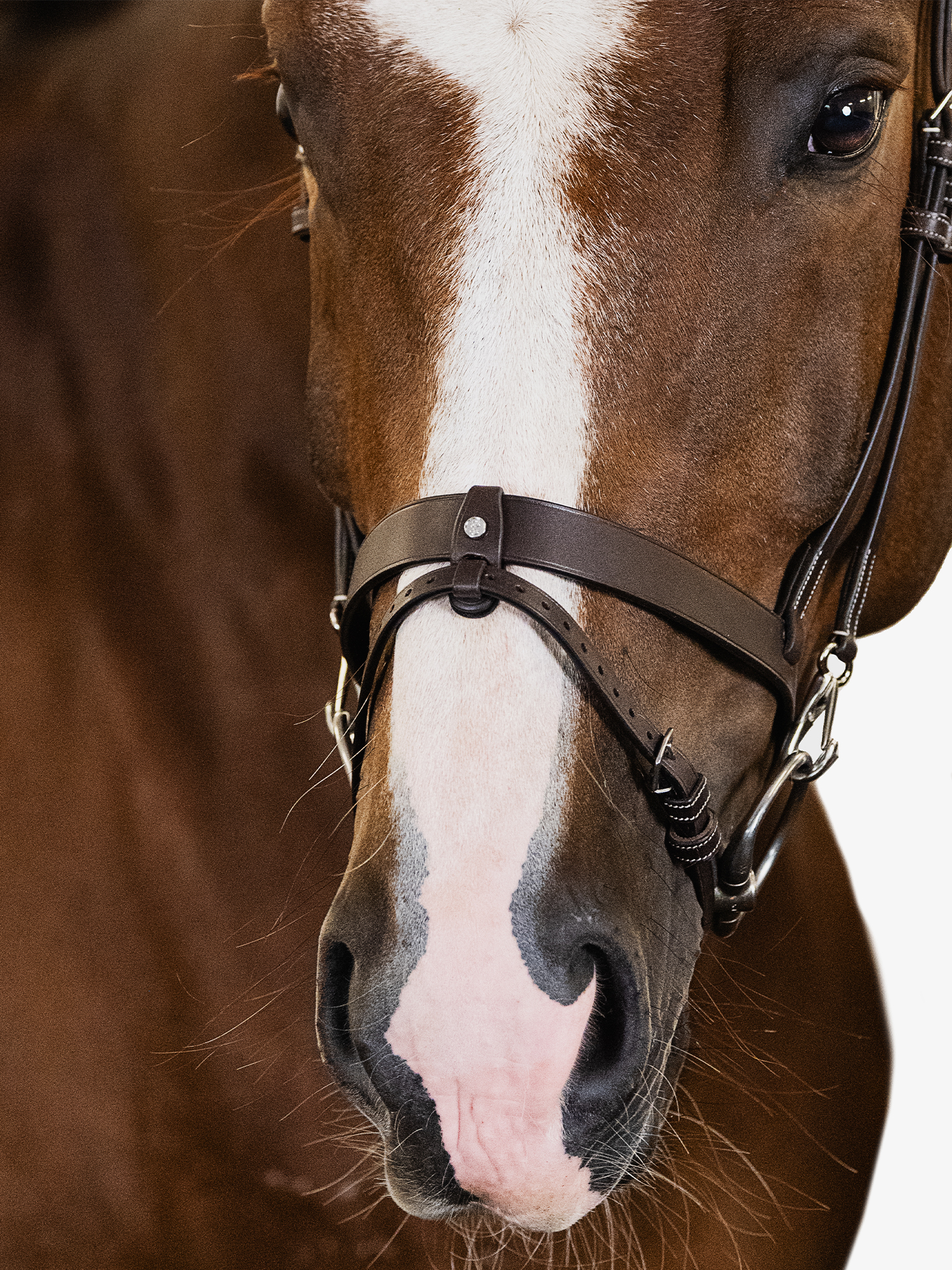 London Bridle