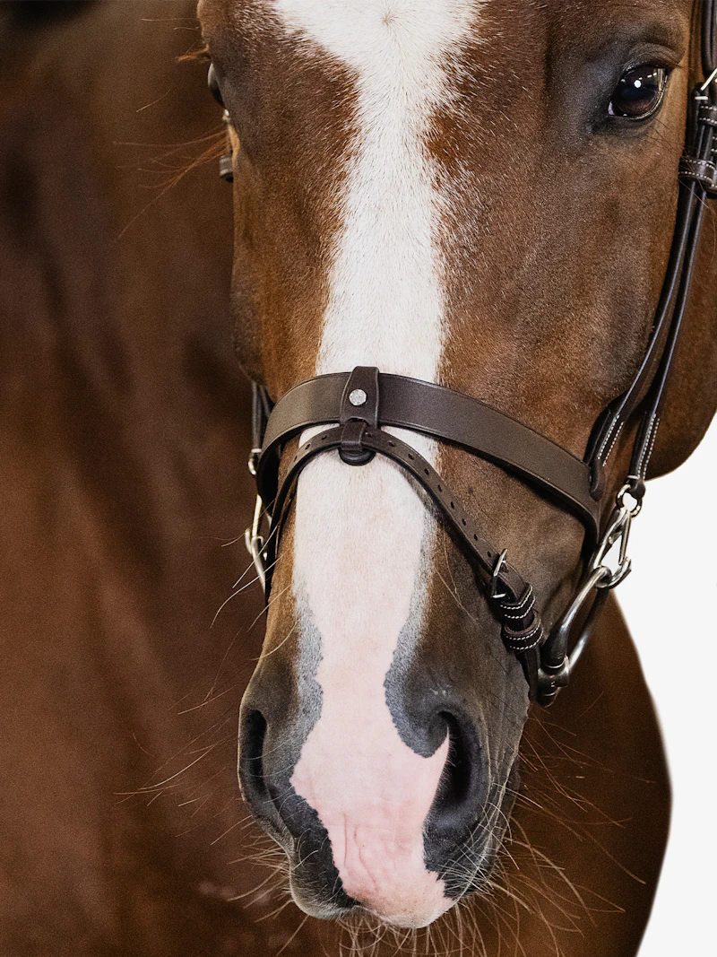 London Bridle London Bridle
