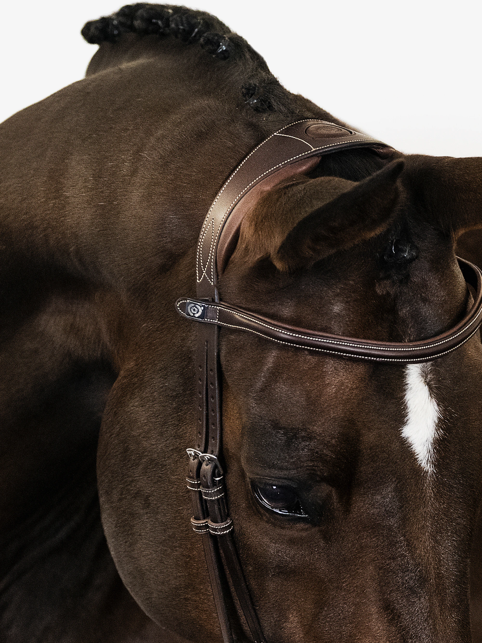 Paris Bridle Paris Bridle