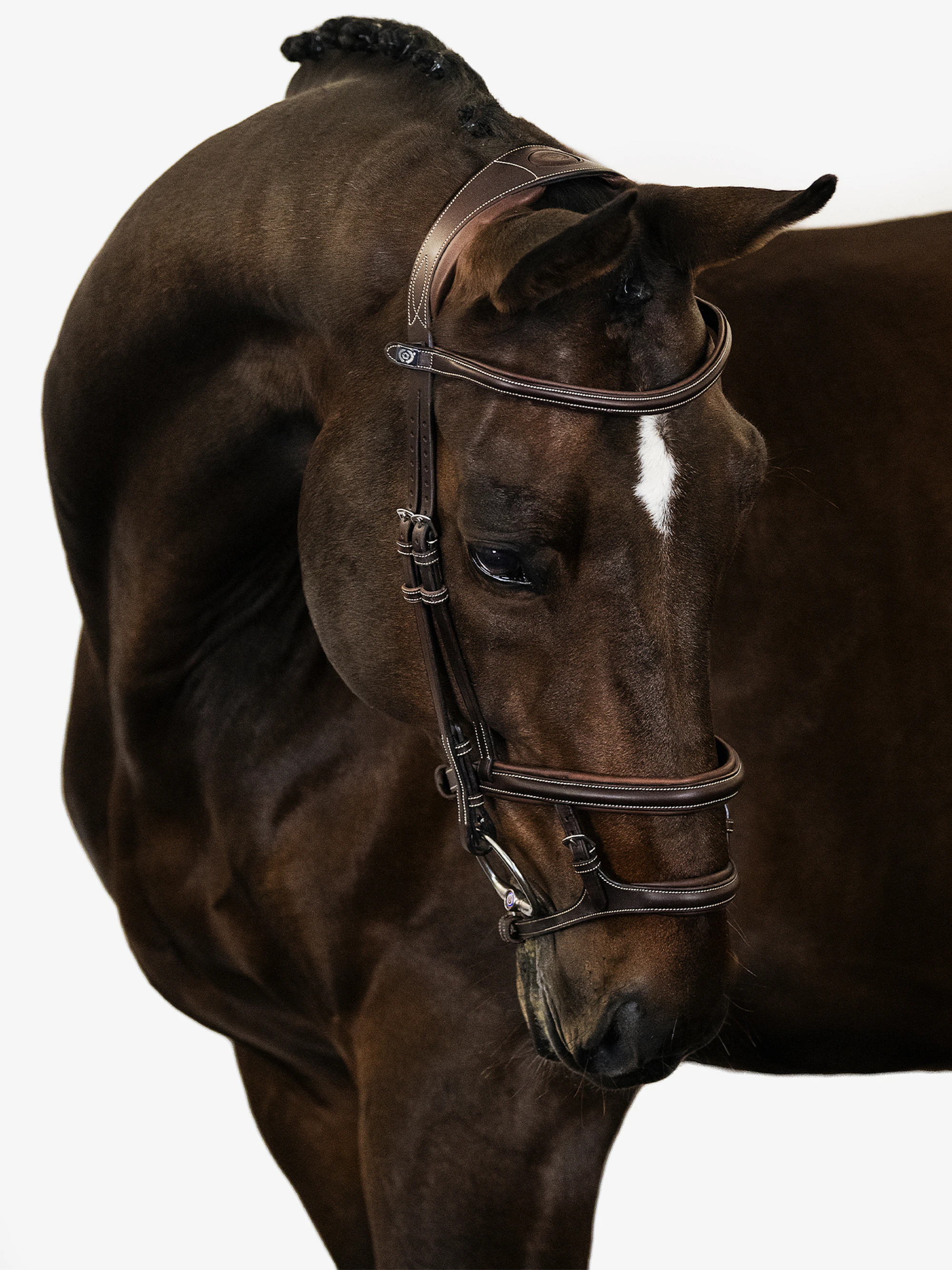 Paris Bridle Paris Bridle