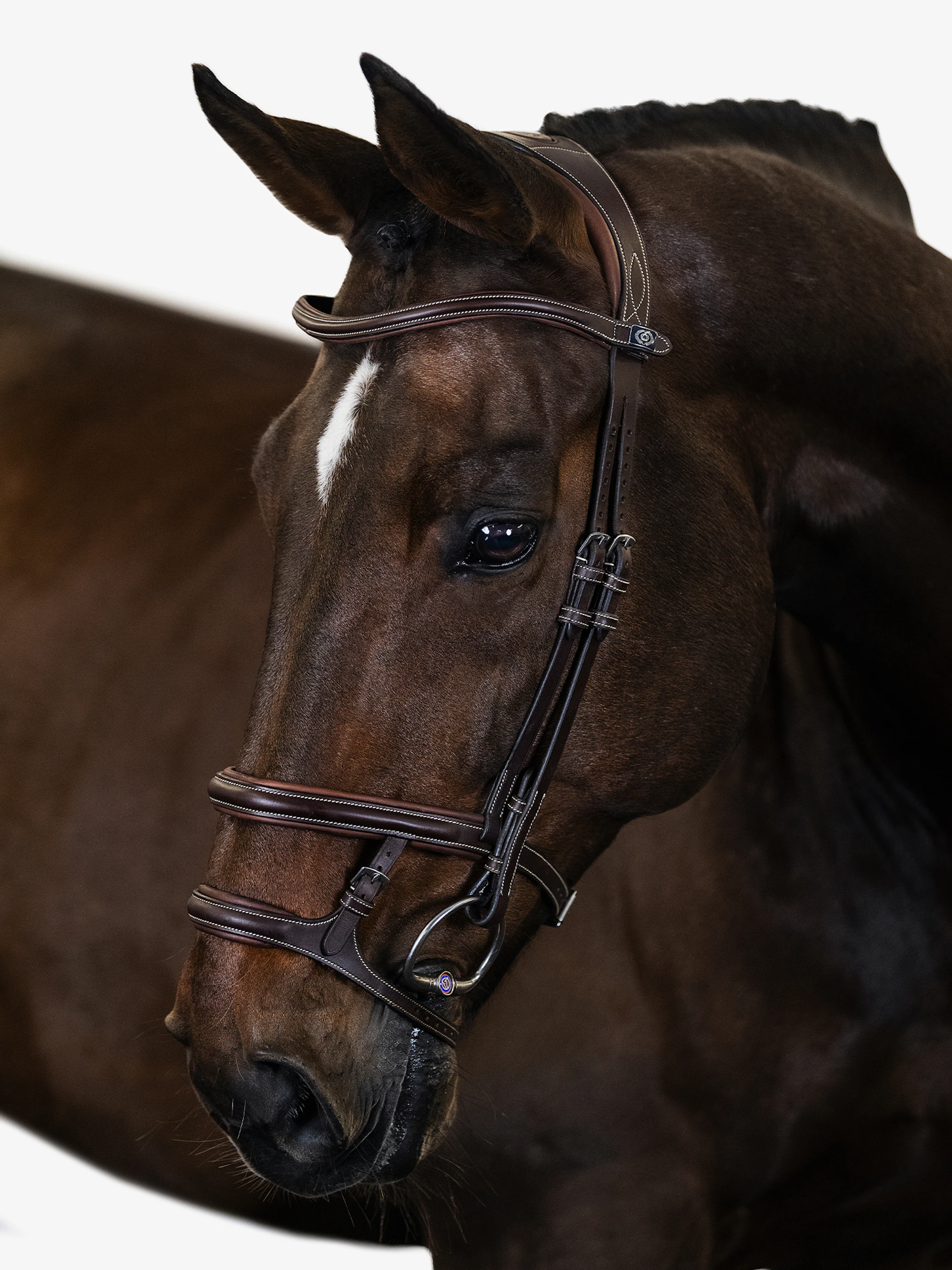 Paris Bridle Paris Bridle