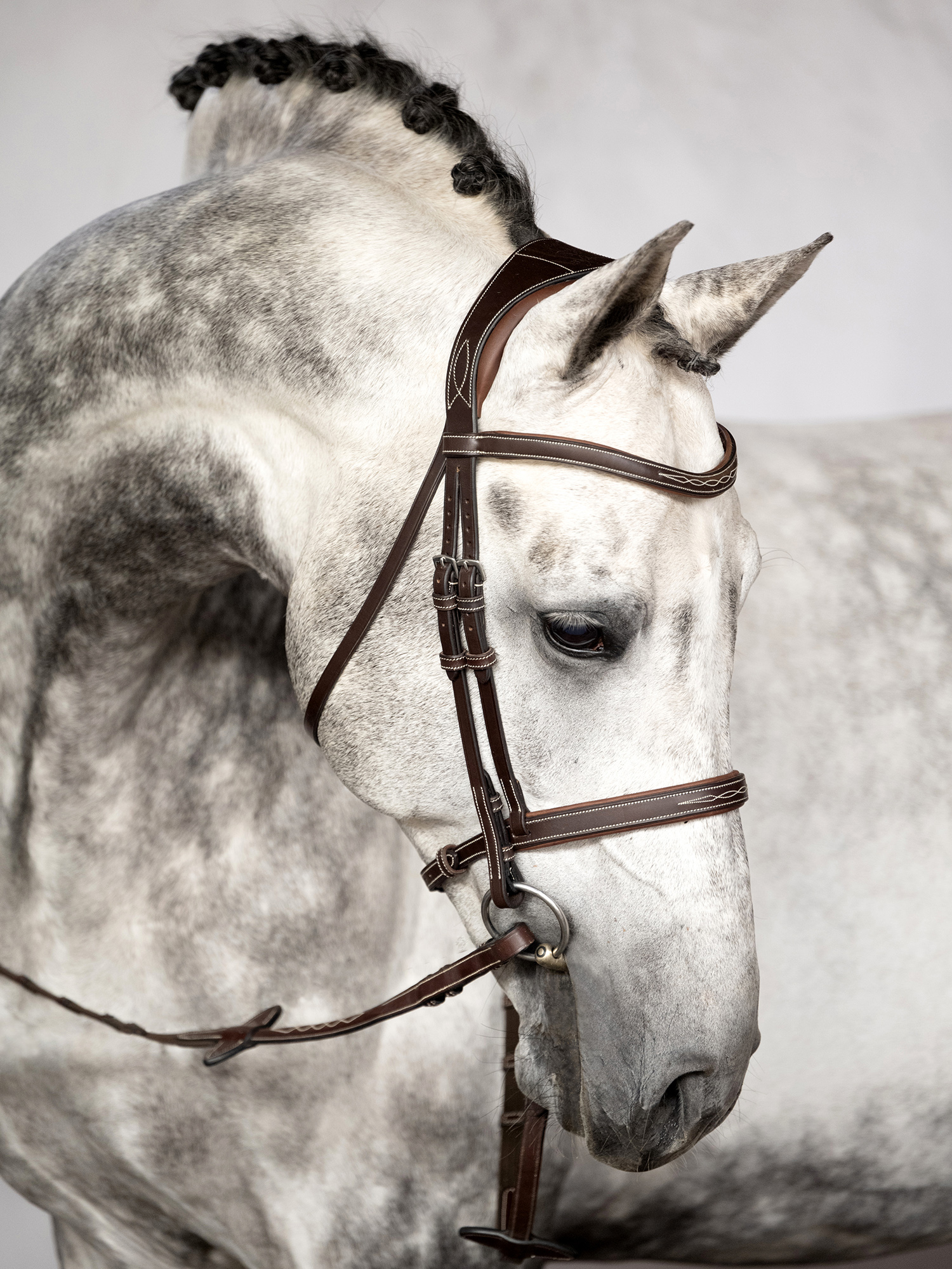 Ocala Bridle