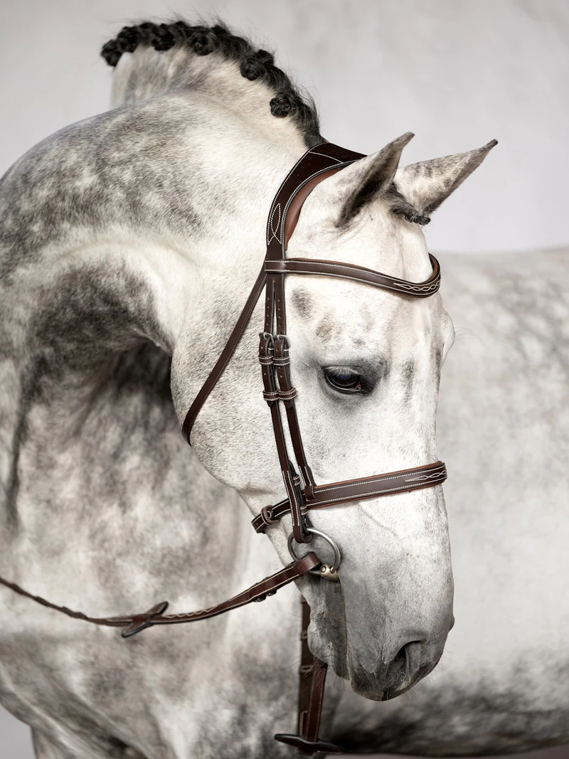 Ocala Bridle Ocala Bridle