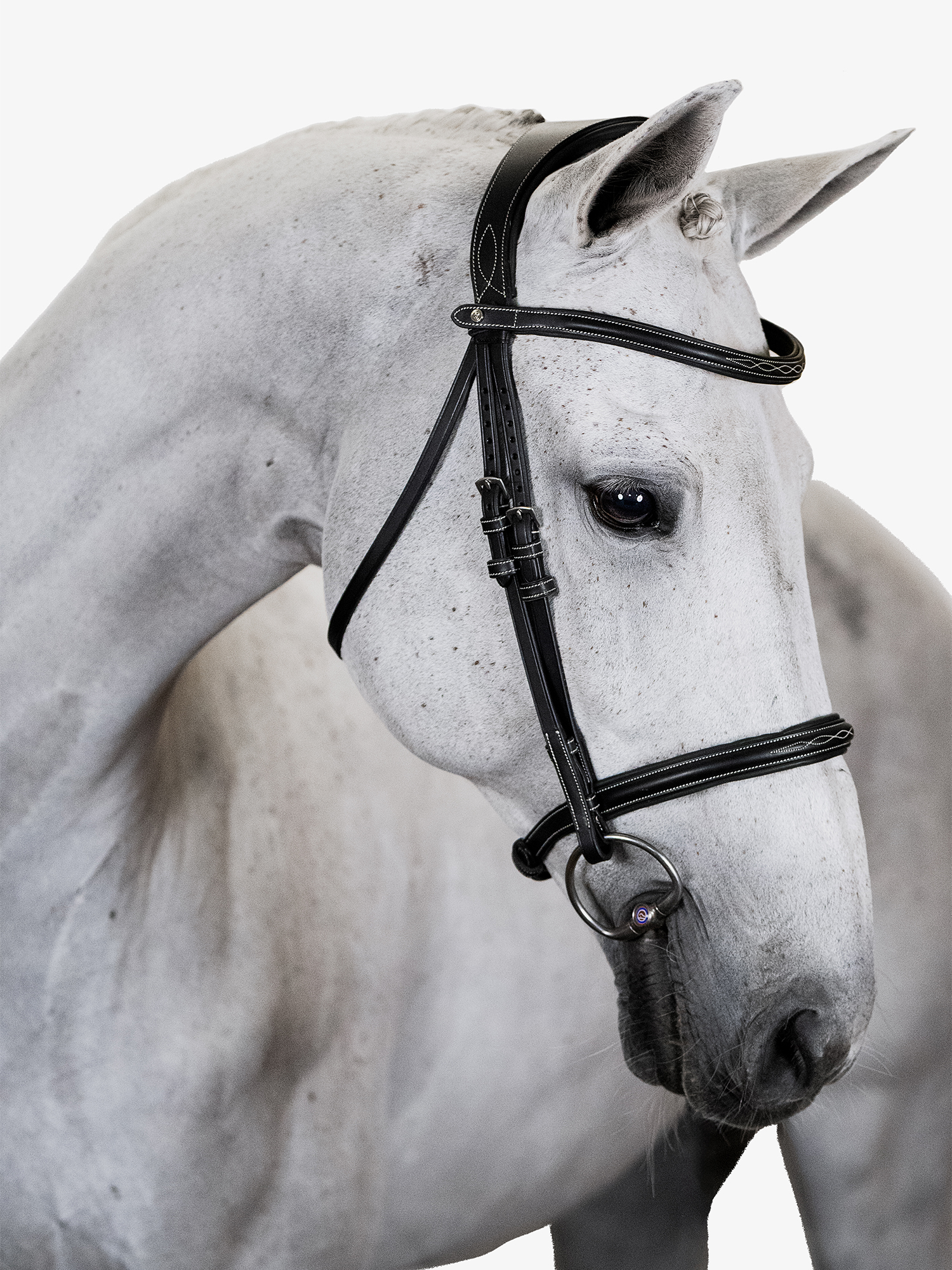 Ocala Bridle