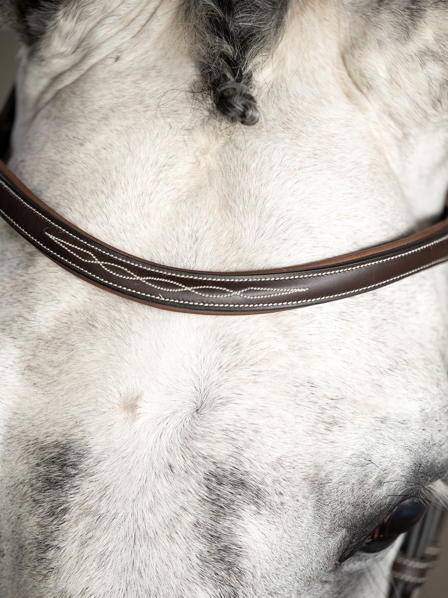 Ocala Bridle