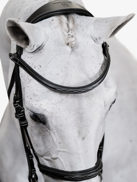 Ocala Hunter-Trense