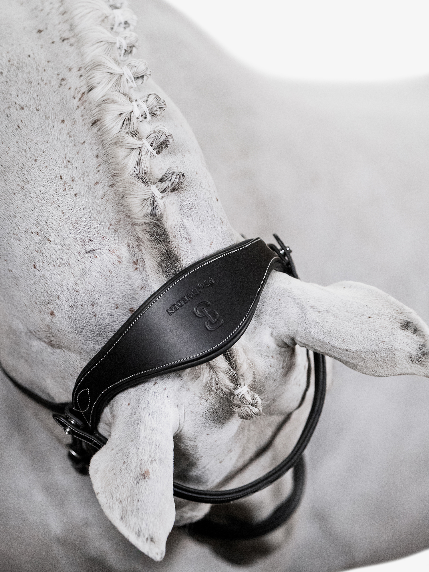 Ocala Bridle